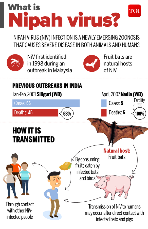 Nipah virus scare 10 deaths in Kerala due to Nipah virus symptoms