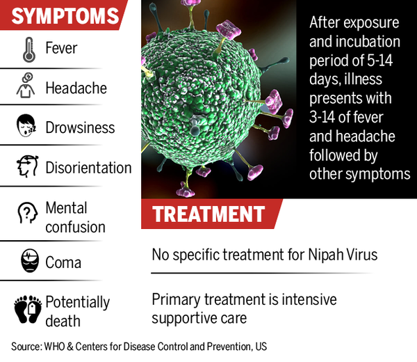 Nipah virus scare 10 deaths in Kerala due to Nipah virus symptoms