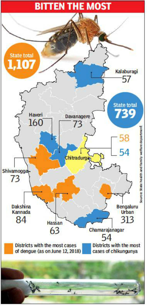 Rain, Preventive Measures Help Blunt Dengue, Chikungunya Scare ...