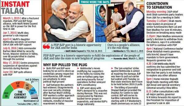 BJP plug