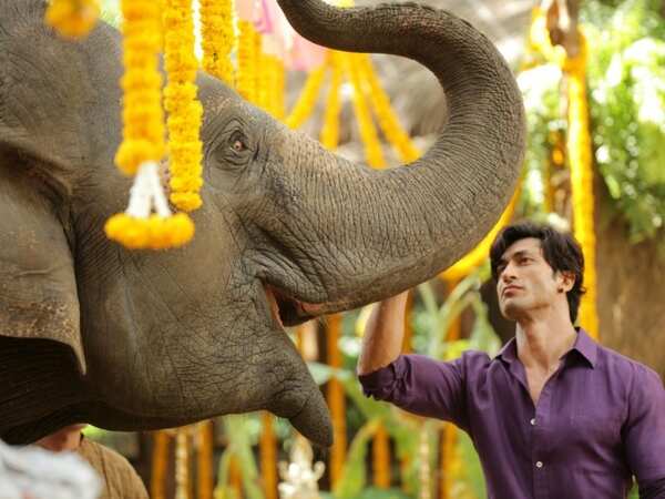 junglee
