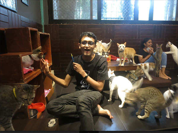 When Mumbaikars spent time at a cat café | Events Movie News - Times of ...