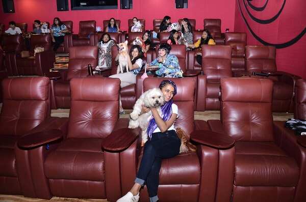 Isle of Dogs host a special screening for Dog lovers 2