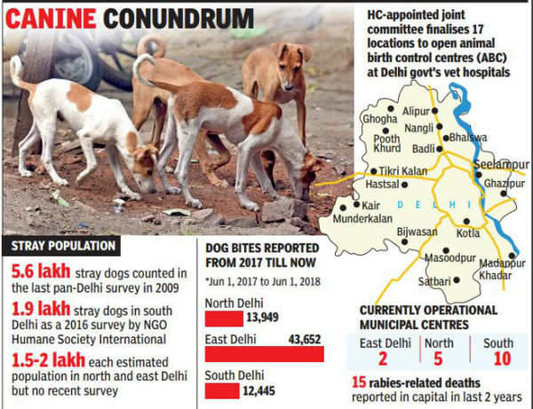 17 vet hospitals to have sterilisation units to cut down stray dog menace |  Delhi News - Times of India