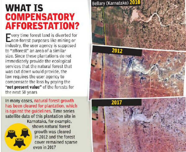 forestation
