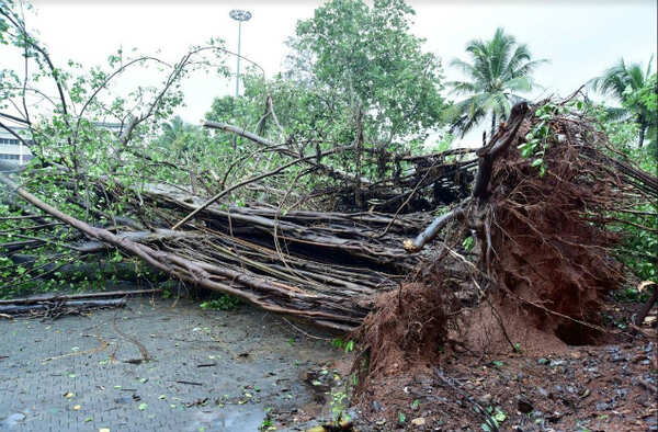 Karnataka Rains: Karnataka: Heavy rains continue to lash coastal ...
