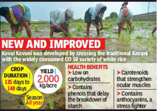 Clinical Trials Of Kovai Kavuni Rice: Clinical trials of Kovai Kavuni ...