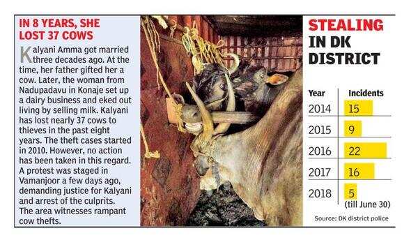 The political fodder in cow theft cases