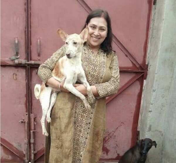 dog final