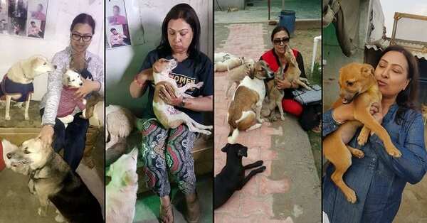 This woman lost her dog. Now she is busy saving as many as possible | Agra News - Times of India This woman lost her dog. Now she is busy saving as many as possible | Agra News - Times of India
