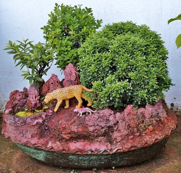 Penjing Style