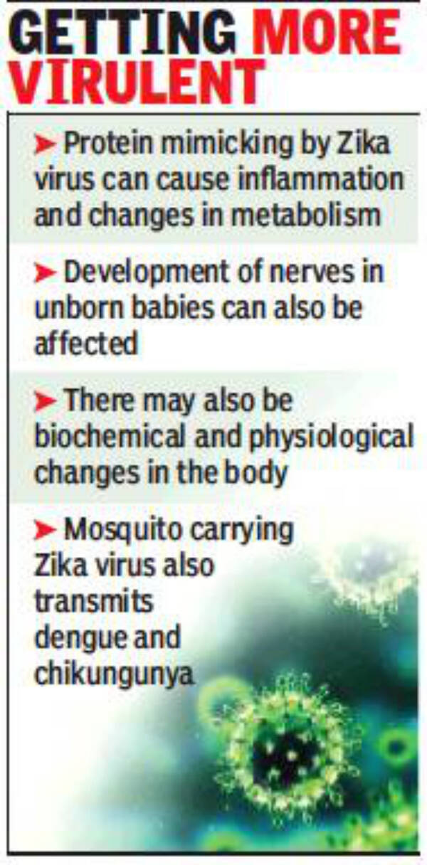 zika virus