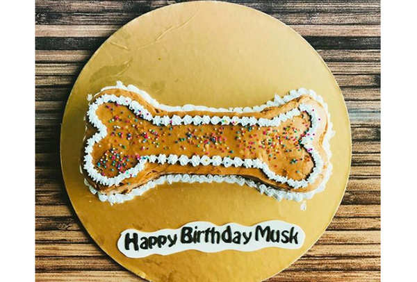 Top Cake Shops For Dog in Mumbai - Best Cake Stores For Dog - Justdial