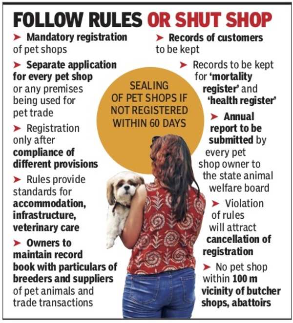 Centre notifies rules to regulate, monitor pet shops | India News - Times  of India