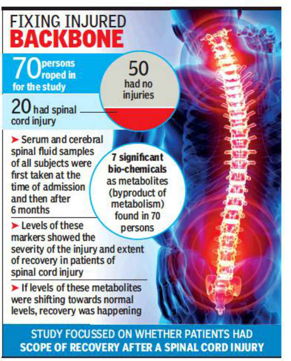 Kgmu: Biomarkers can reveal severity of spine injury | Lucknow News ...