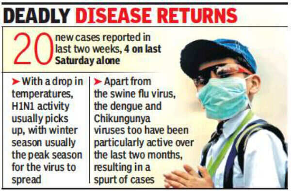 Swine flu back to haunt? 20 cases reported in two weeks statewide ...