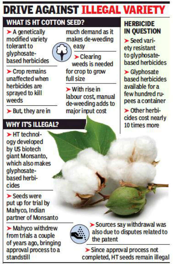 Conflict of interest probe into 'illegal' cotton seed biz Mumbai News