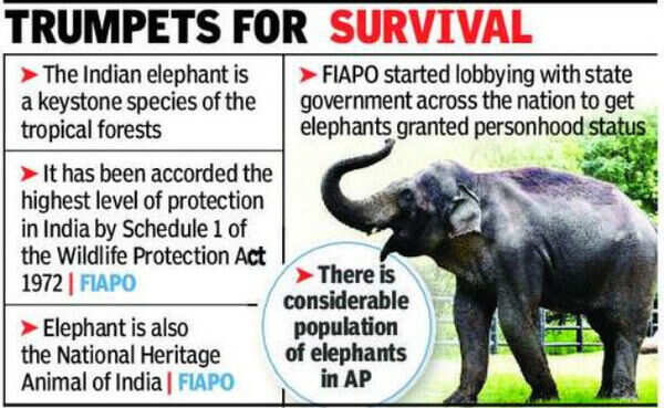 Give 'personhood status' to elephants for protection of their rights, FIAPO members tell state government | Vijayawada News - Times of India Give 'personhood status' to elephants for protection of their rights, FIAPO members tell state government | Vijayawada News - Times of India