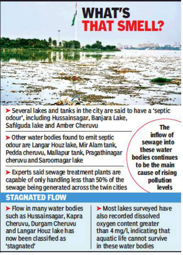 Ailing and dirty, lakes in Hyderabad present dismal report card