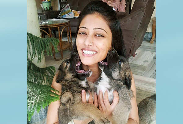 Lucknowites' love for animals in general has risen, feel animal activists  in Lucknow - Times of India