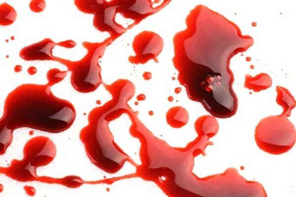 Add some gore