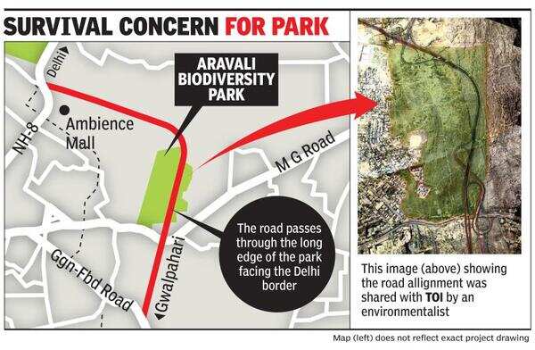 New road to run 2km inside Aravali Biodiversity Park, 20-25m from its edge
