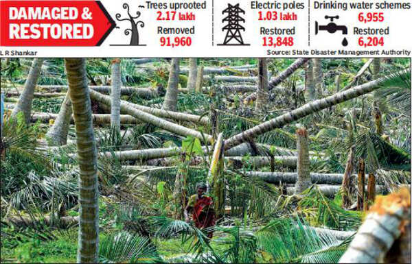 Cyclone Gaja made four lakh homeless in Tamil Nadu | Chennai News ...