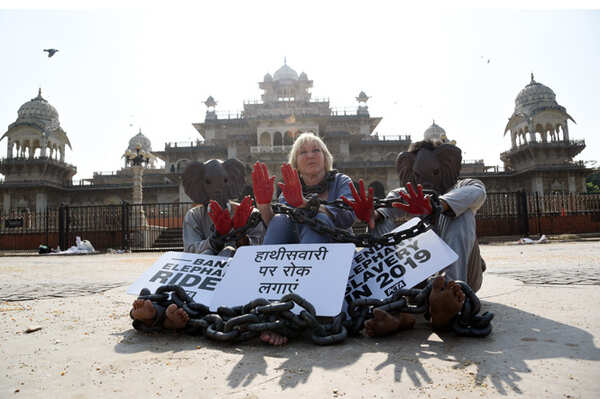 peta india (2) copy