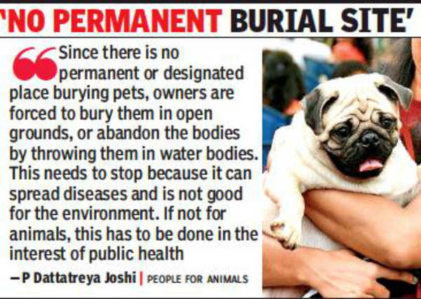 Dog's body dumped due to lack of cemeteries in Hyderabad | Hyderabad News -  Times of India
