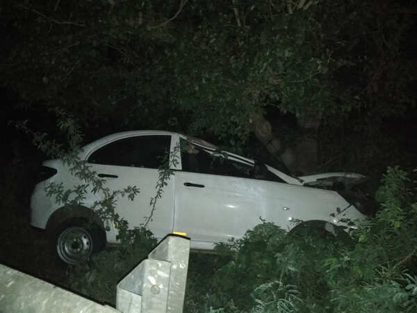 Car Rams Tree: Three die as car rams tree near Pudukkottai in Tamil ...