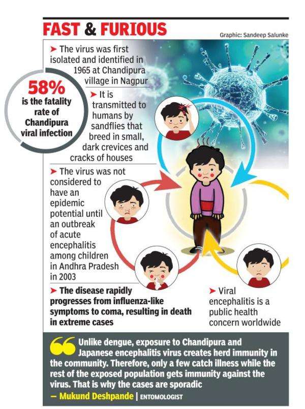 Chandipura virus