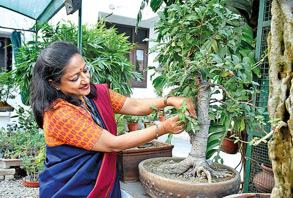 Deepa Singhal (BCCL/ Vishnu Jaiswal)