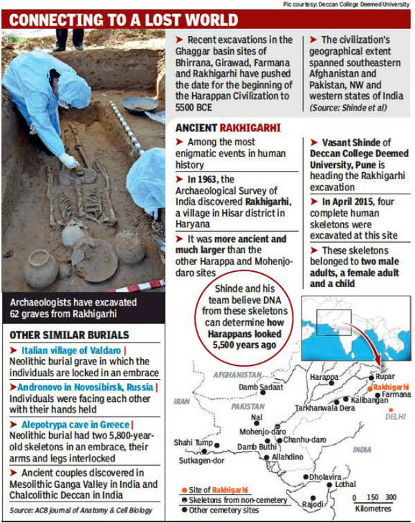 In First Such Finding, Couple’s Grave Excavated At Harappan Site | Pune ...