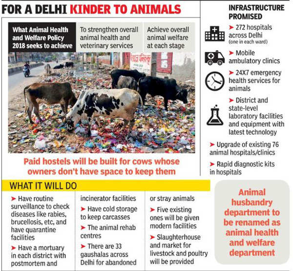 Delhi to build 'PG hostels' for cows; tag animals, pets | Delhi News -  Times of India