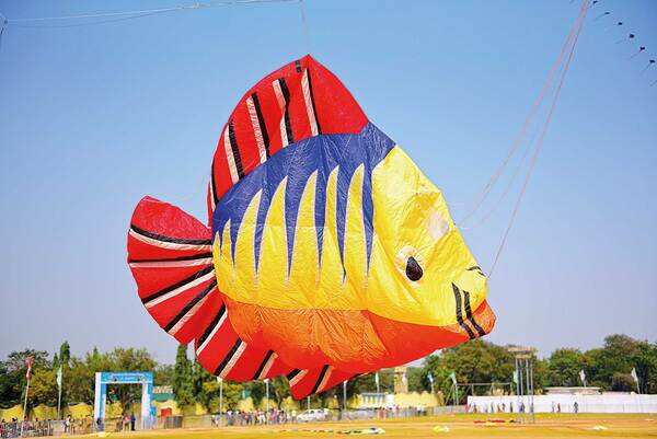 HT15_KITES_SRI5415