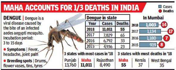 Dengue cases in Maharashtra up 41% in just 1 year | Mumbai News - Times ...