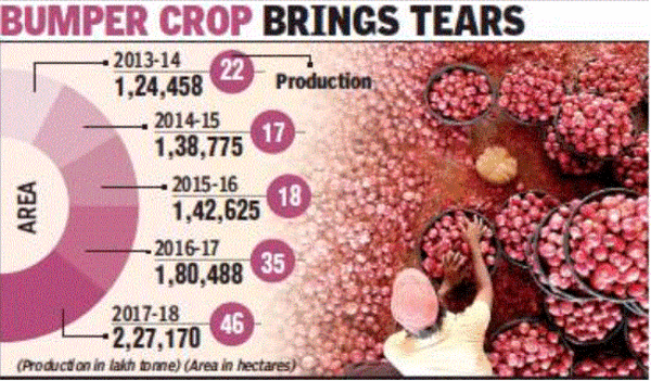 onion1