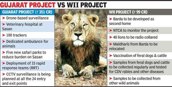 Gujarat's Project Lion gets Centre's nod | Ahmedabad News - Times of India