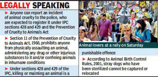 Anyone can report cruelty to animals under existing laws' | Kolkata News -  Times of India