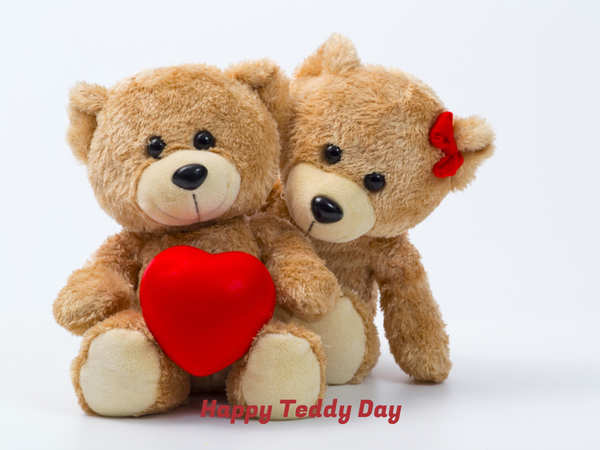 Happy Teddy Day 2019: Images, Cards, Greetings, Wishes, Messages, Quotes,  Pictures, GIFs and Wallpapers | - Times of India