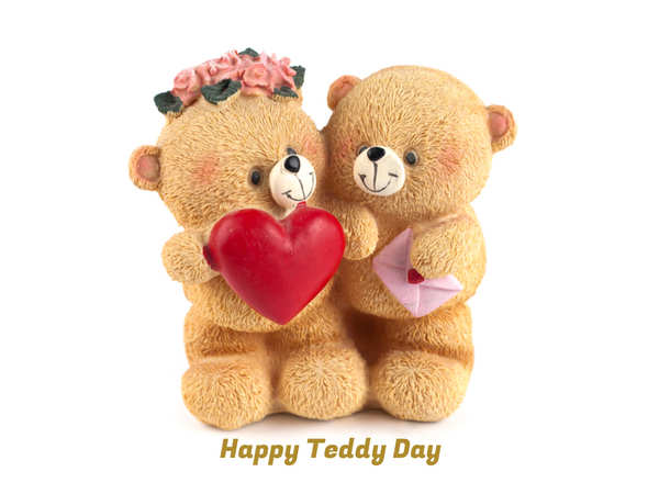 Teddy day 2019 new arrivals