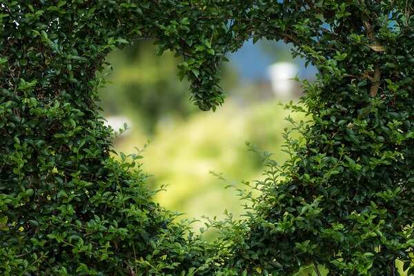 Happy Valentine's Day 2022
