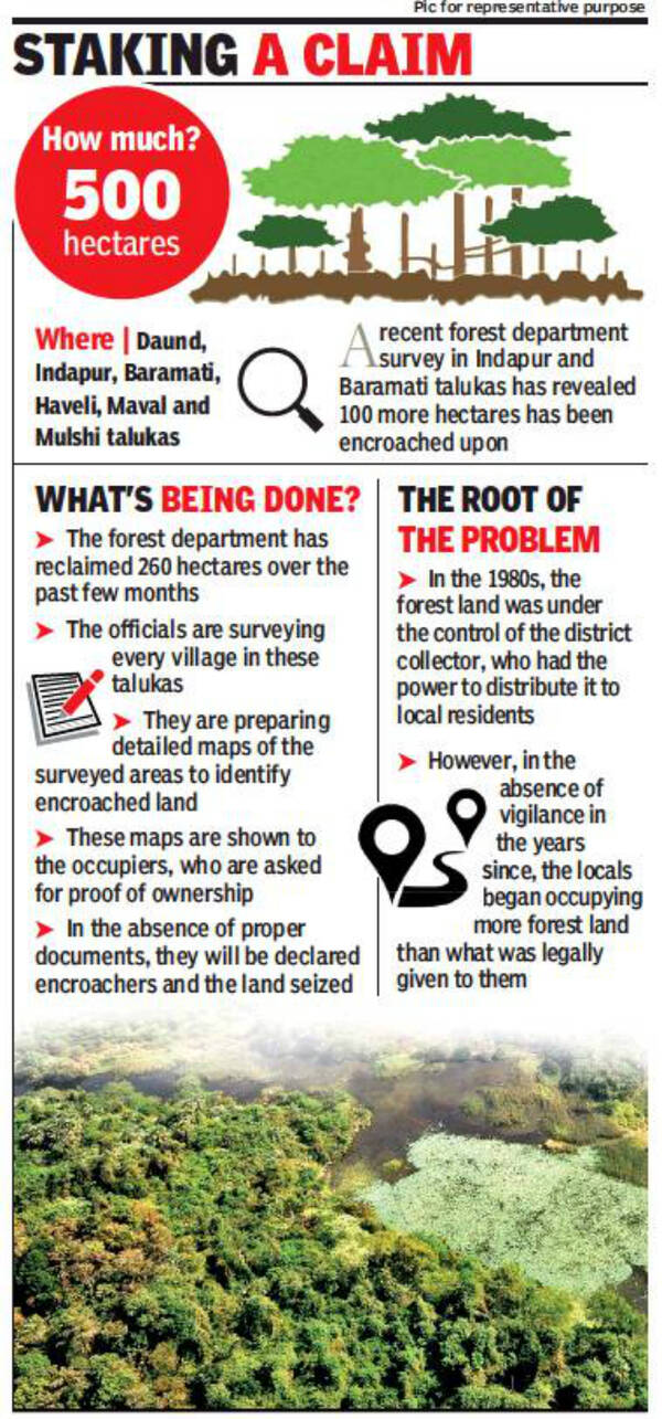 500 hectares of forest land in Pune division encroached upon | Pune ...