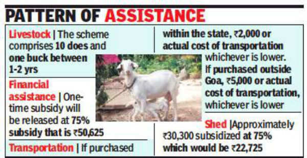 Avoiding 'religious taboo', government scheme for goat meat | Goa News -  Times of India