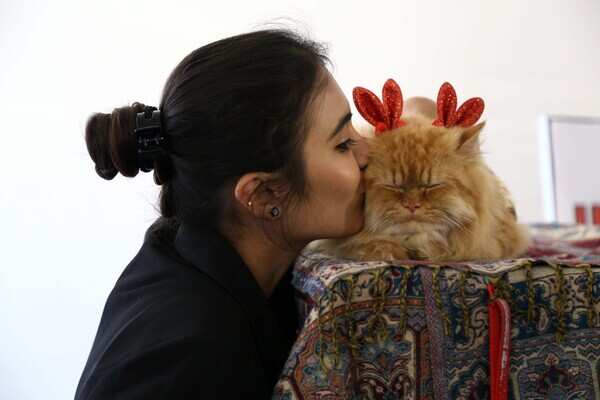 Alisha Kauser and her cat in different accessories (7)