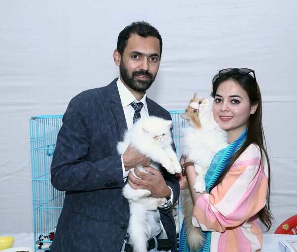 Uzair Khan and wife with their cats