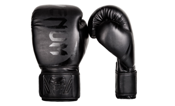 2019 best sales boxing gloves