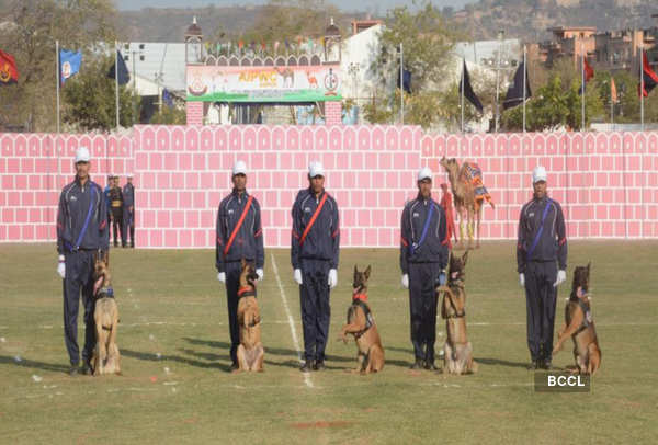 Cops showcase their strength at 67th All India Police Wrestling Cluster ...