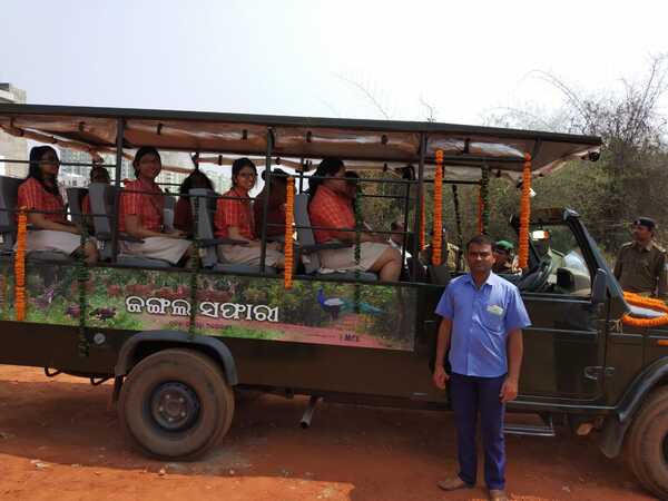 Jungle safari.