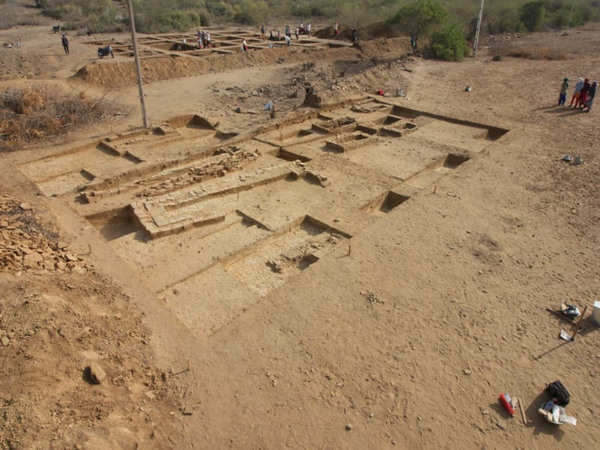 5,000-year-old Human Skeleton Found In Kutch | Rajkot News - Times Of India